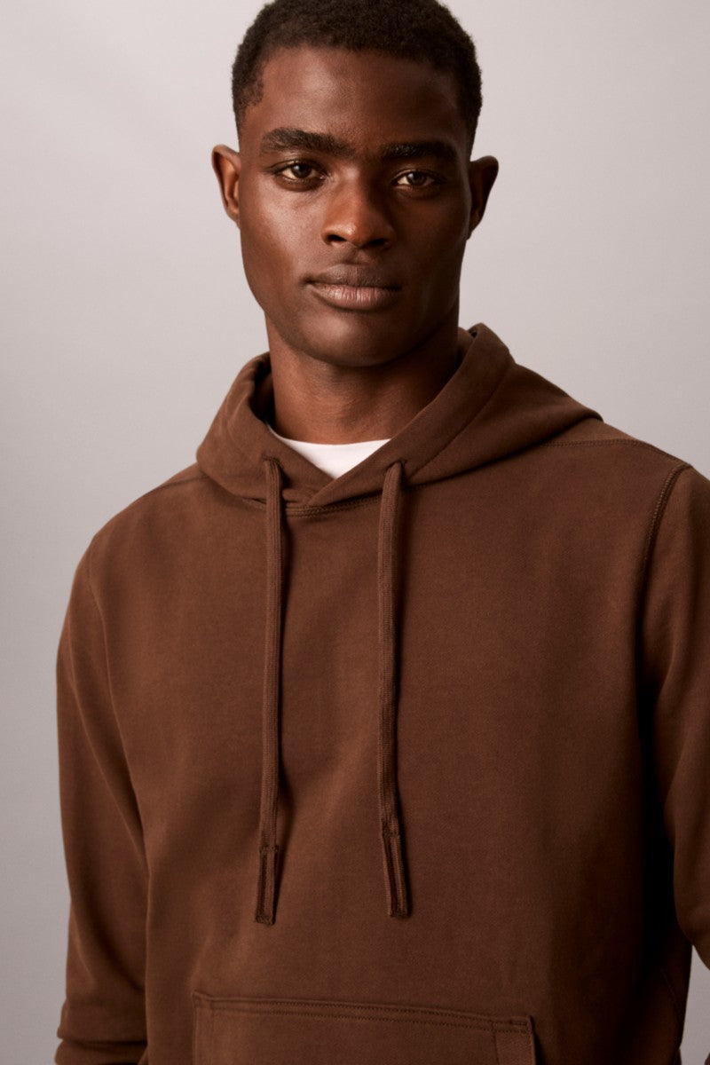 Calvin Klein 201G 350 Terry Badge Hoodie Brown Cork
