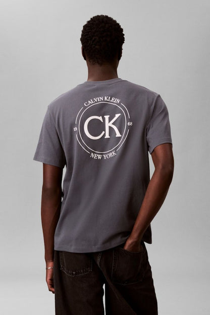 Calvin Klein 825 20S April Graphic T-Shirt Turbulance