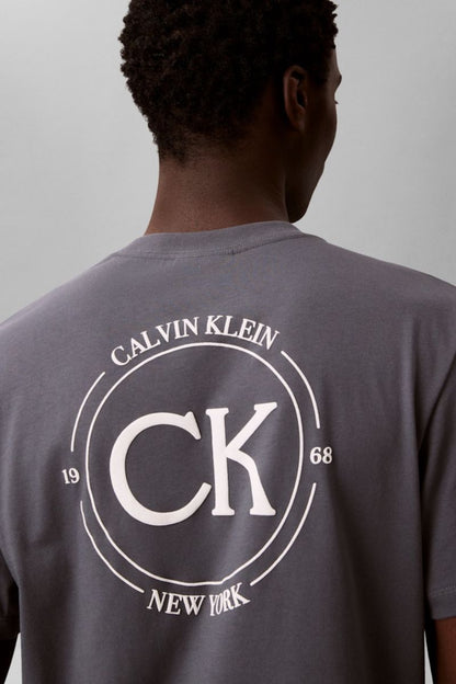 Calvin Klein 825 20S April Graphic T-Shirt Turbulance