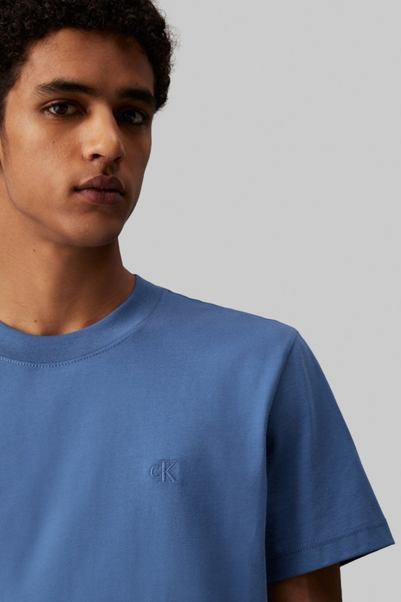 Calvin Klein Heavy Reg T-Shirt Blue