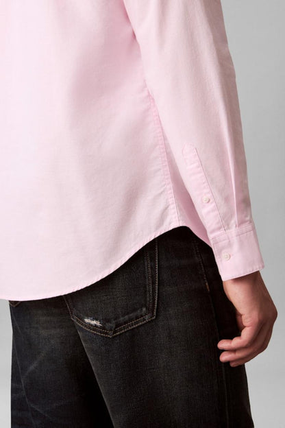 Calvin Klein 1252 Solid Oxford Shirt Pink