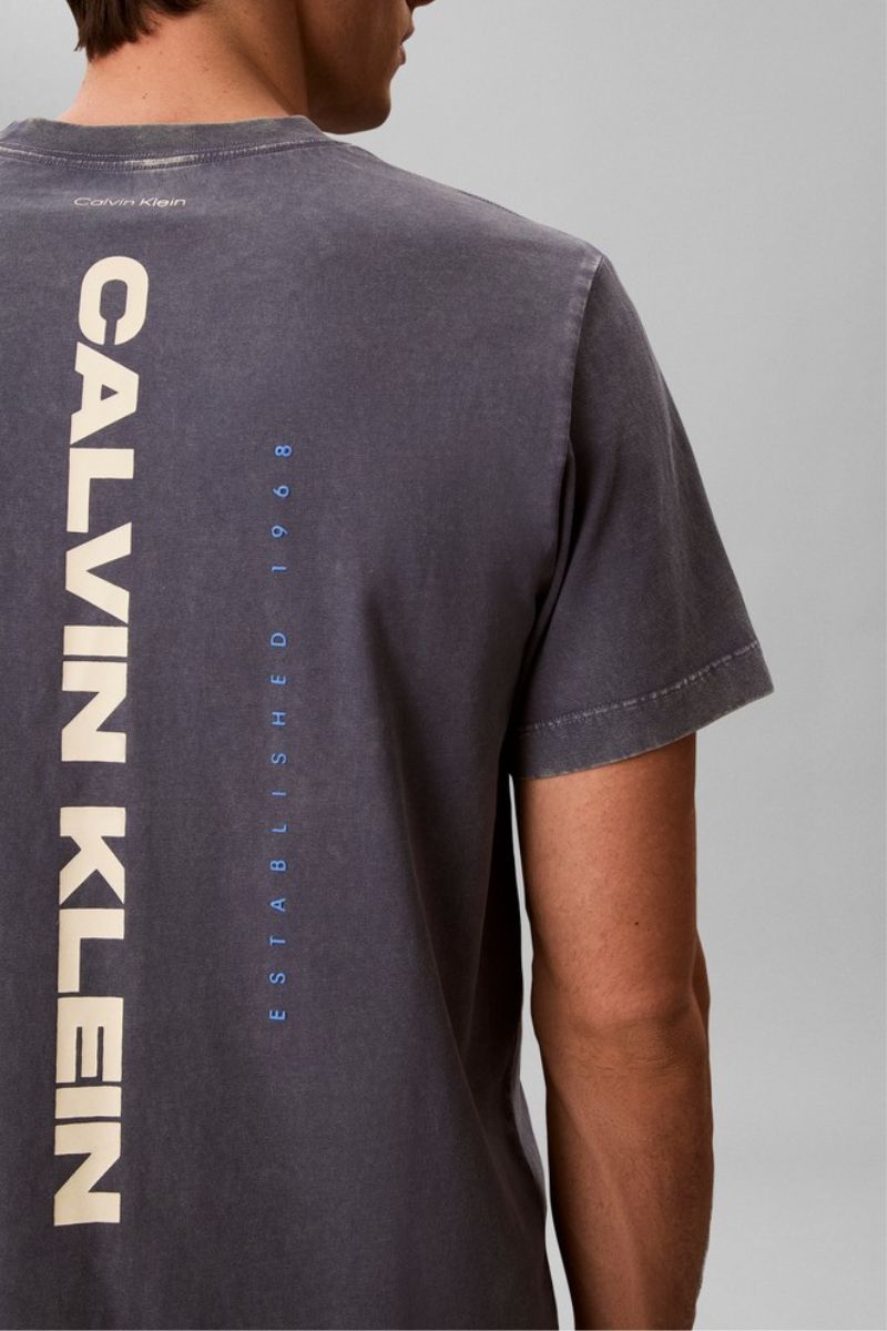 Calvin Klein 20S Washed Spine T-Shirt Blue Nomad
