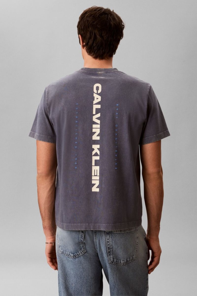 Calvin Klein 20S Washed Spine T-Shirt Blue Nomad
