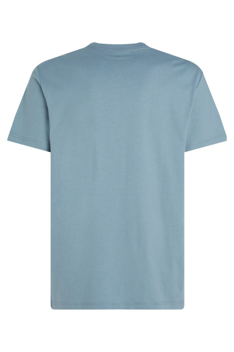 Calvin Klein Heavy Reg T-Shirt Lead