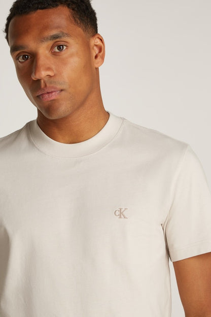 Calvin Klein Heavy Reg T-Shirt Moonbeam