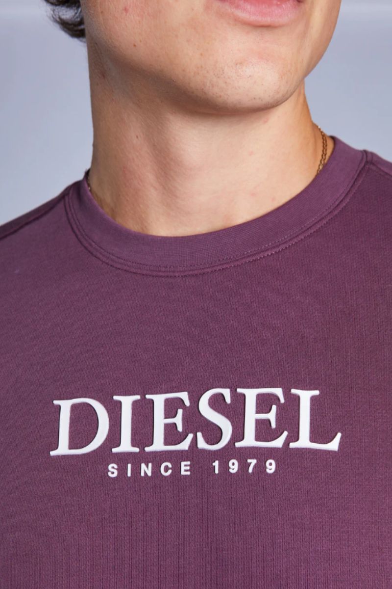 Diesel Alec Sweatshirt Plum