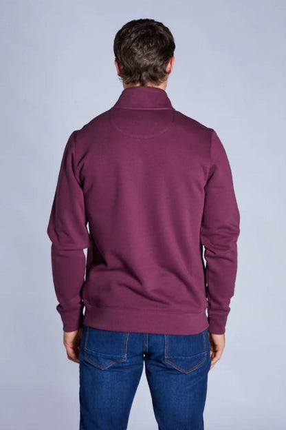 Diesel Dax 1/2 Zip Sweatshirt Fig