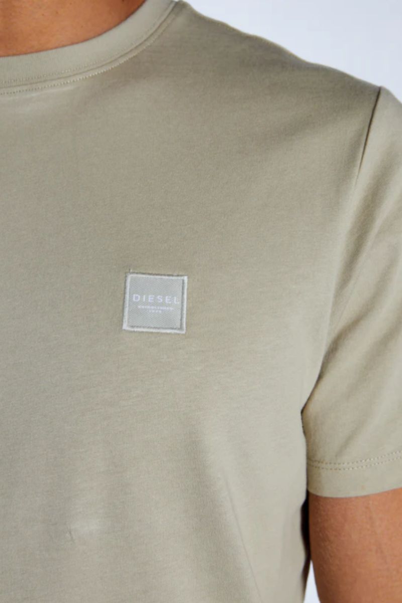Diesel Reed T-Shirt Abby Stone