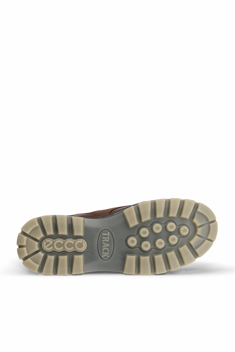 Ecco 831714 Track 25 Gore-Tex Moc Toe Shoes Bison