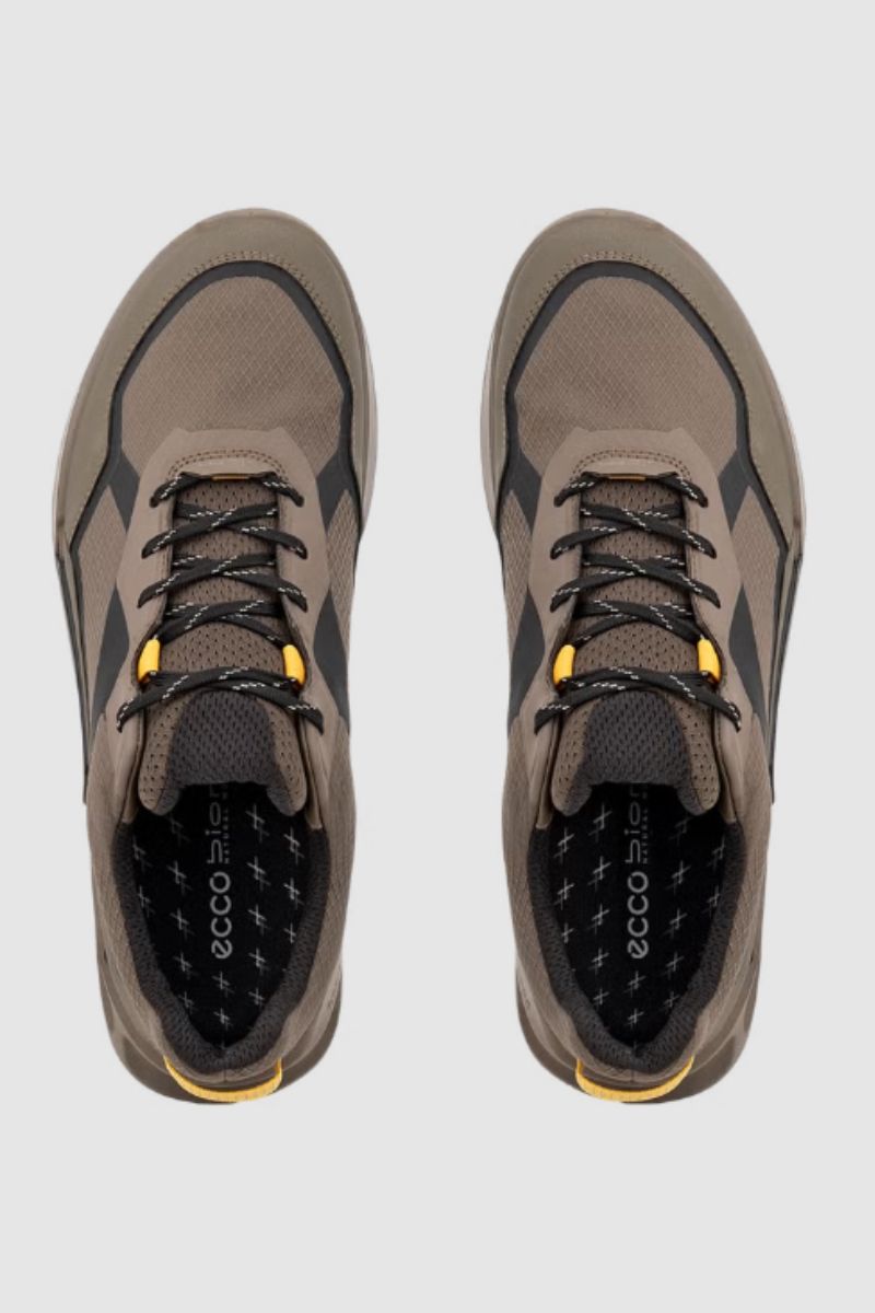 Ecco Biom 2.1 Mountain Shoes Dark Clay