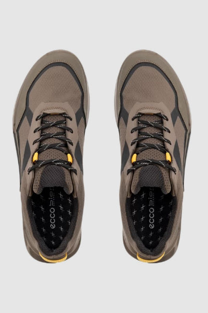 Ecco Biom 2.1 Mountain Shoes Dark Clay