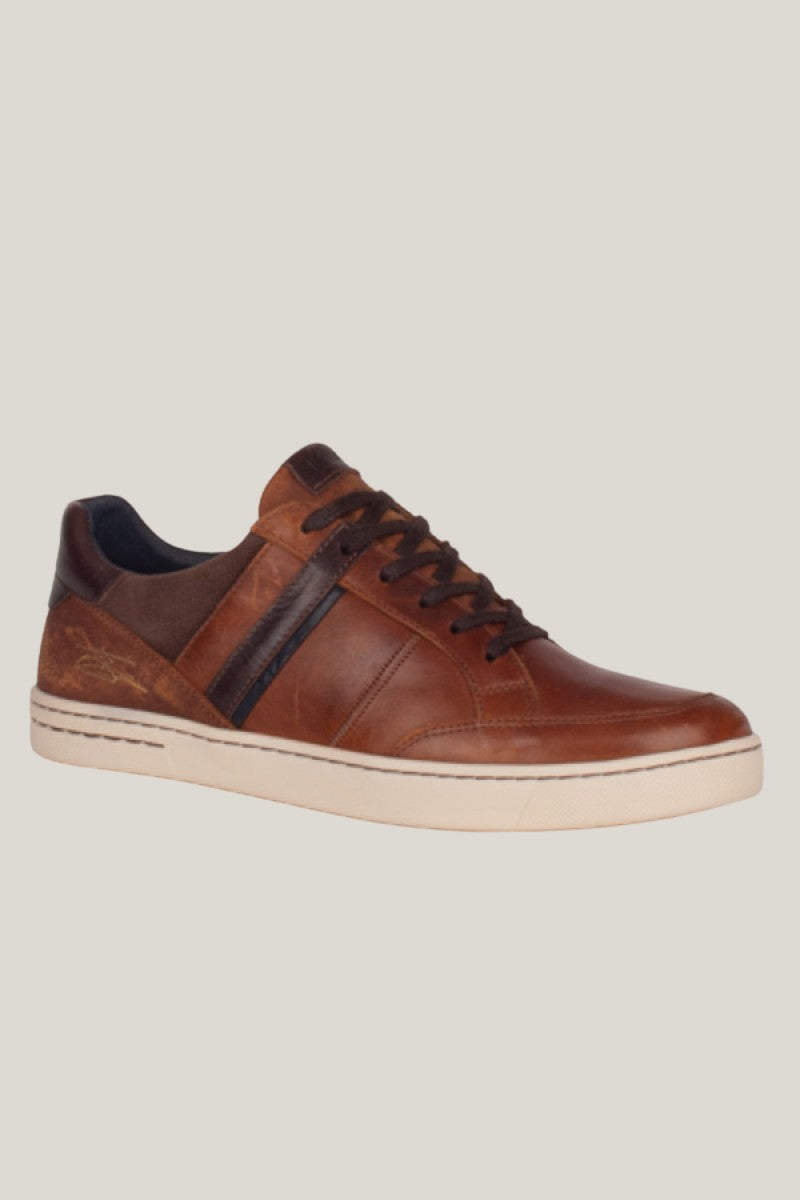 Lloyd &amp; Pryce Carreras Shoe Umber