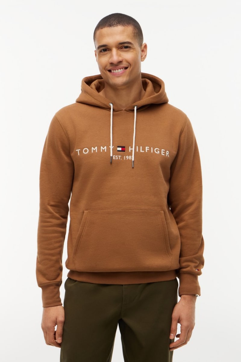 Hilfiger Logo Hoody Aw26 - TWANY