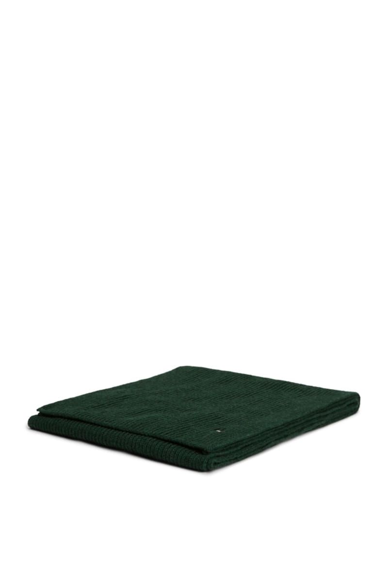 Tommy Hilfiger Flag Pima Cotton Cashmere Scarf in Emerald