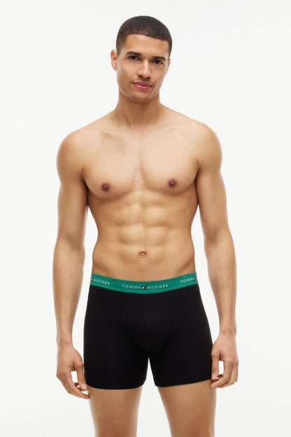 Tommy Hilfiger 38740 Boxer Briefs 3 Pack Alaskan Green Medium Red Black — view 6