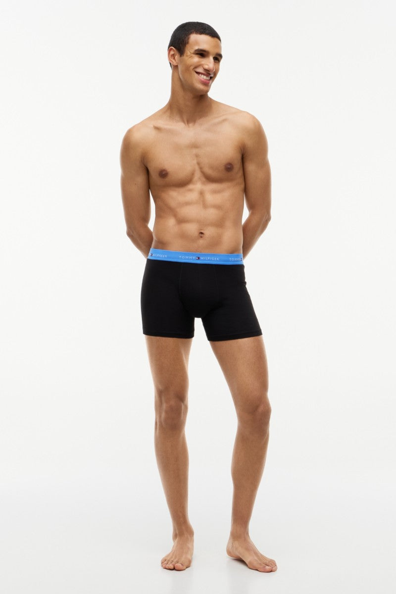 Tommy Hilfiger 38740 Boxer Briefs 3 Pack Opulent Blue Burgundy Blue Spell