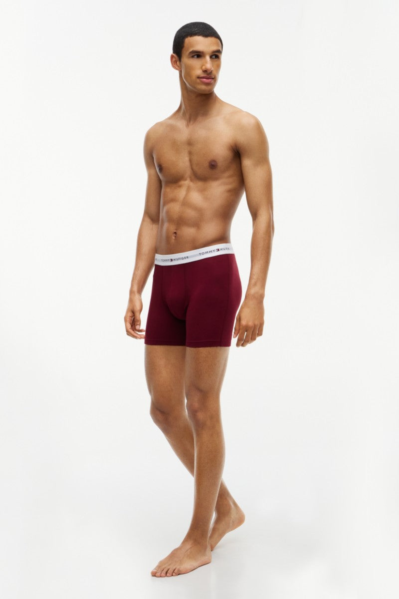 Tommy Hilfiger 38920 Signature Logo Boxer Briefs 3 Pack Opulent Blue Burgundy Blue Spell